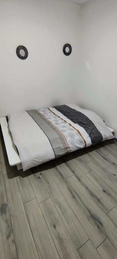 Appartement En Centre Ville Thonon-les-Bains Luaran gambar